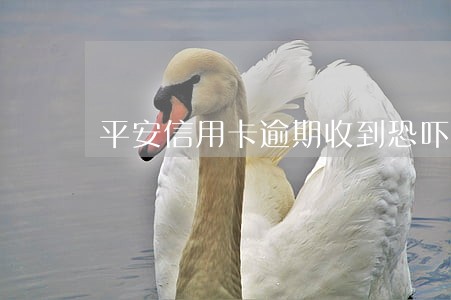 平安信用卡逾期收到恐吓信息 平安信用卡逾期收到恐吓信息
