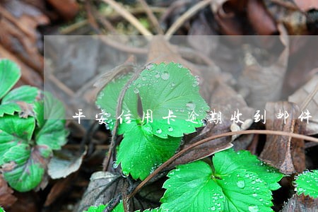 平安信用卡逾期收到邮件 平安信用卡逾期收到邮件