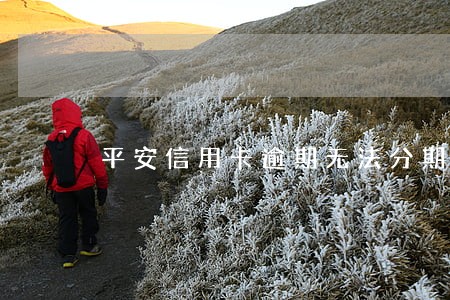 平安信用卡逾期无法分期 平安信用卡逾期无法分期