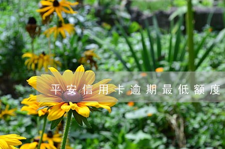 平安信用卡逾期最低额度 平安信用卡逾期最低额度