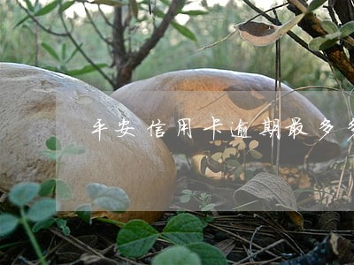 平安信用卡逾期最多多少天 平安信用卡逾期最多多少天