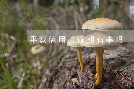平安信用卡逾期有事吗 平安信用卡逾期有事吗