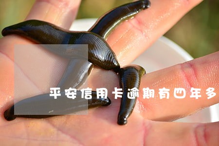 平安信用卡逾期有四年多了 平安信用卡逾期有四年多了