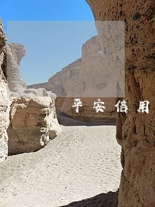 平安信用卡逾期有客服说报警 平安信用卡逾期有客服说报警
