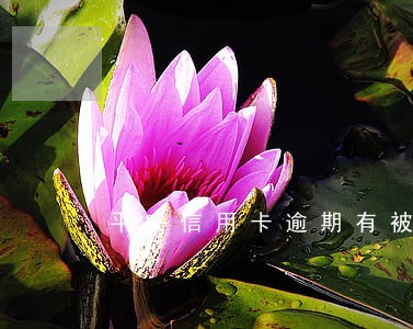 平安信用卡逾期有被上门的吗 平安信用卡逾期有被上门的吗