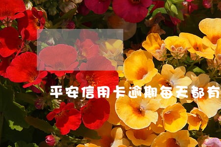 平安信用卡逾期每天都有短信 平安信用卡逾期每天都有短信