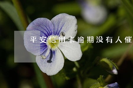平安信用卡逾期没有人催收 平安信用卡逾期没有人催收