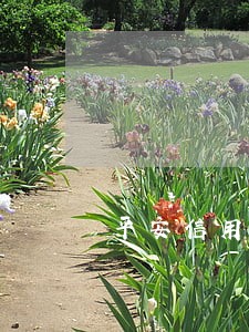 平安信用卡逾期没有记录