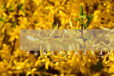 平安信用卡逾期没有通知书 平安信用卡逾期没有通知书