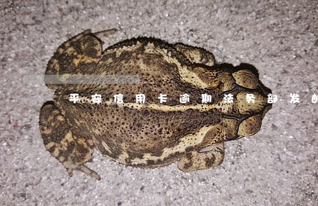 平安信用卡逾期法务部发邮件还款 平安信用卡逾期法务部发邮件还款