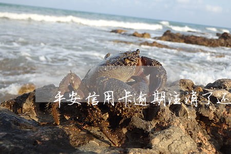 平安信用卡逾期注消了还能再开吗