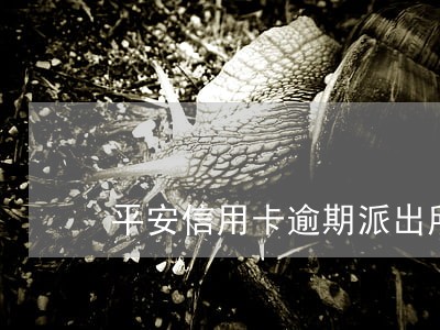 平安信用卡逾期派出所会立案吗 平安信用卡逾期派出所会立案吗