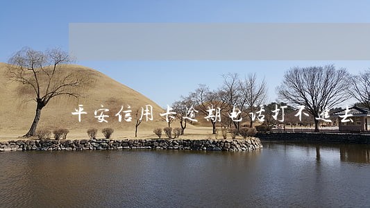平安信用卡逾期电话打不进去 平安信用卡逾期电话打不进去