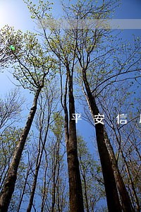 平安信用卡逾期的利息是多少钱 平安信用卡逾期的利息是多少钱