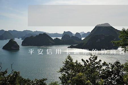 平安信用卡逾期的协商客服电话