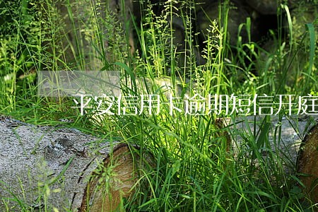 平安信用卡逾期短信开庭通知 平安信用卡逾期短信开庭通知