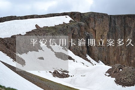 平安信用卡逾期立案多久开庭 平安信用卡逾期立案多久开庭