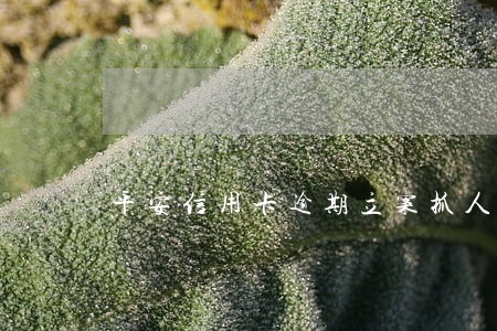 平安信用卡逾期立案抓人