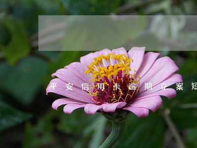 平安信用卡逾期立案短信 平安信用卡逾期立案短信
