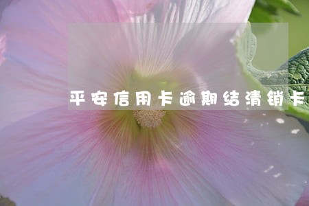 平安信用卡逾期结清销卡