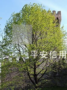 平安信用卡逾期给我发警示函 平安信用卡逾期给我发警示函