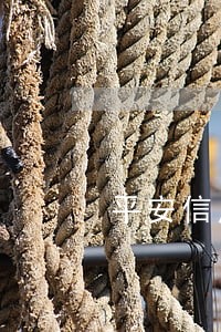 平安信用卡逾期能保单贷款吗 平安信用卡逾期能保单贷款吗