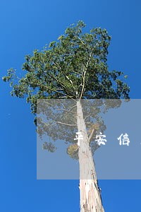 平安信用卡逾期能减免本金吗 平安信用卡逾期能减免本金吗