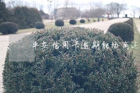 平安信用卡逾期能协商还款么 平安信用卡逾期能协商还款么