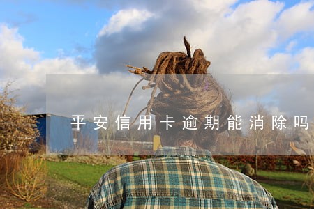 平安信用卡逾期能消除吗 平安信用卡逾期能消除吗