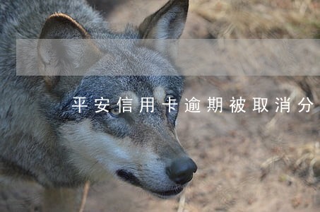 平安信用卡逾期被取消分期 平安信用卡逾期被取消分期