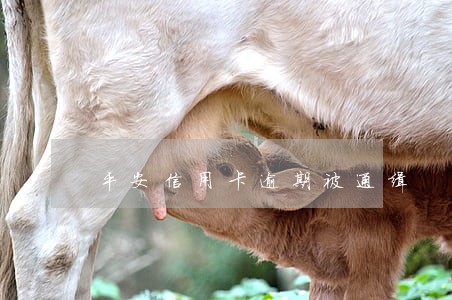 平安信用卡逾期被通缉 平安信用卡逾期被通缉