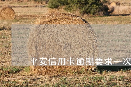 平安信用卡逾期要求一次性结清 平安信用卡逾期要求一次性结清
