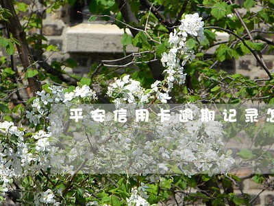 平安信用卡逾期记录怎么查询