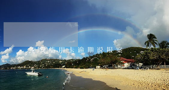 平安信用卡逾期说报案 平安信用卡逾期说报案
