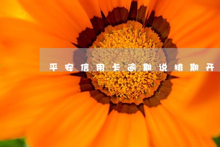 平安信用卡逾期说排期开庭 平安信用卡逾期说排期开庭