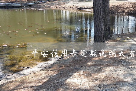 平安信用卡逾期说明天有公安上门 平安信用卡逾期说明天有公安上门