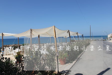 平安信用卡逾期说要立案排期 平安信用卡逾期说要立案排期