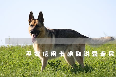 平安信用卡逾期说要走民事诉讼 平安信用卡逾期说要走民事诉讼