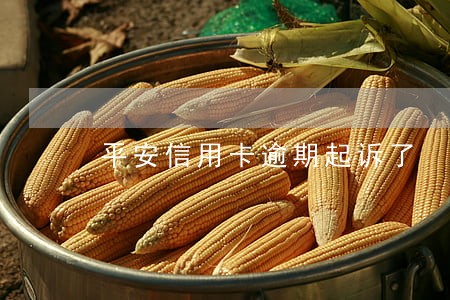平安信用卡逾期起诉了 平安信用卡逾期起诉了