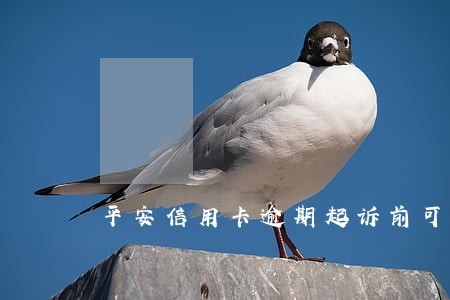 平安信用卡逾期起诉前可以调解吗 平安信用卡逾期起诉前可以调解吗