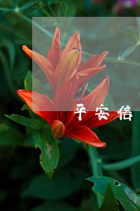 平安信用卡逾期起诉法院 平安信用卡逾期起诉法院
