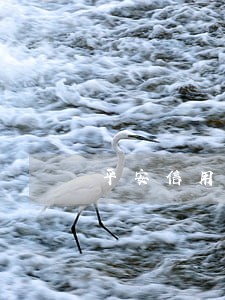 平安信用卡逾期还不上怎么办 平安信用卡逾期还不上怎么办