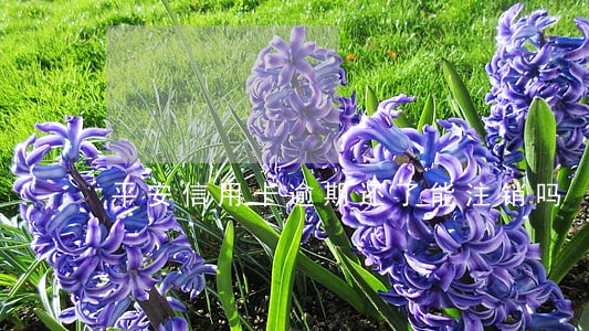 平安信用卡逾期还了能注销吗