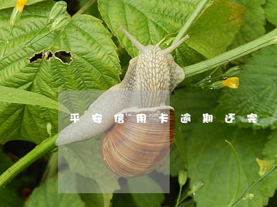 平安信用卡逾期还完 平安信用卡逾期还完