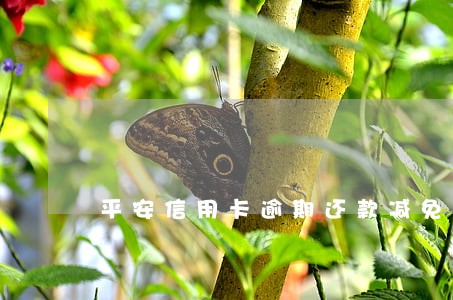 平安信用卡逾期还款减免政策 平安信用卡逾期还款减免政策