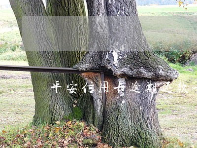 平安信用卡逾期还款卡片作废 平安信用卡逾期还款卡片作废