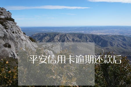 平安信用卡逾期还款后 平安信用卡逾期还款后