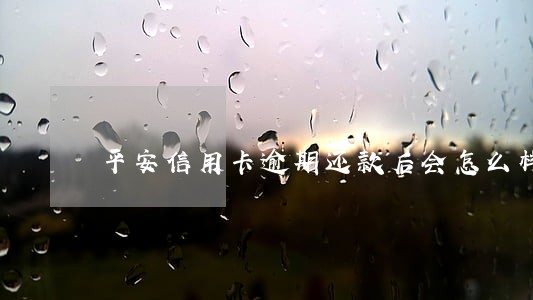 平安信用卡逾期还款后会怎么样 平安信用卡逾期还款后会怎么样