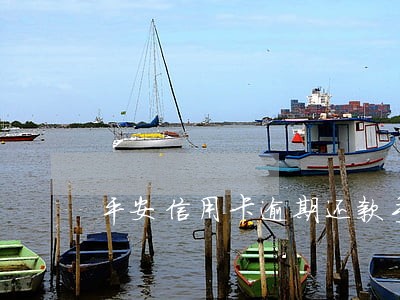平安信用卡逾期还款手续费 平安信用卡逾期还款手续费