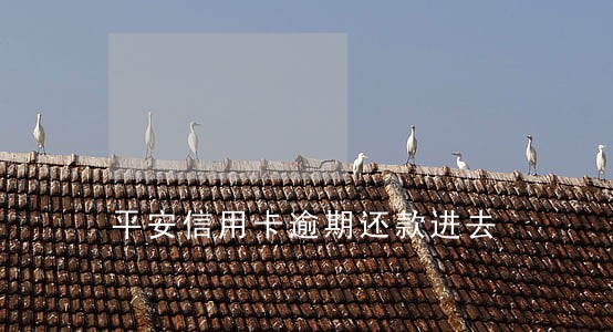 平安信用卡逾期还款进去